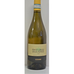 PINOT GRIGIO CESARI IGT 0.75L