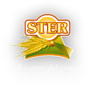 logo-4-2